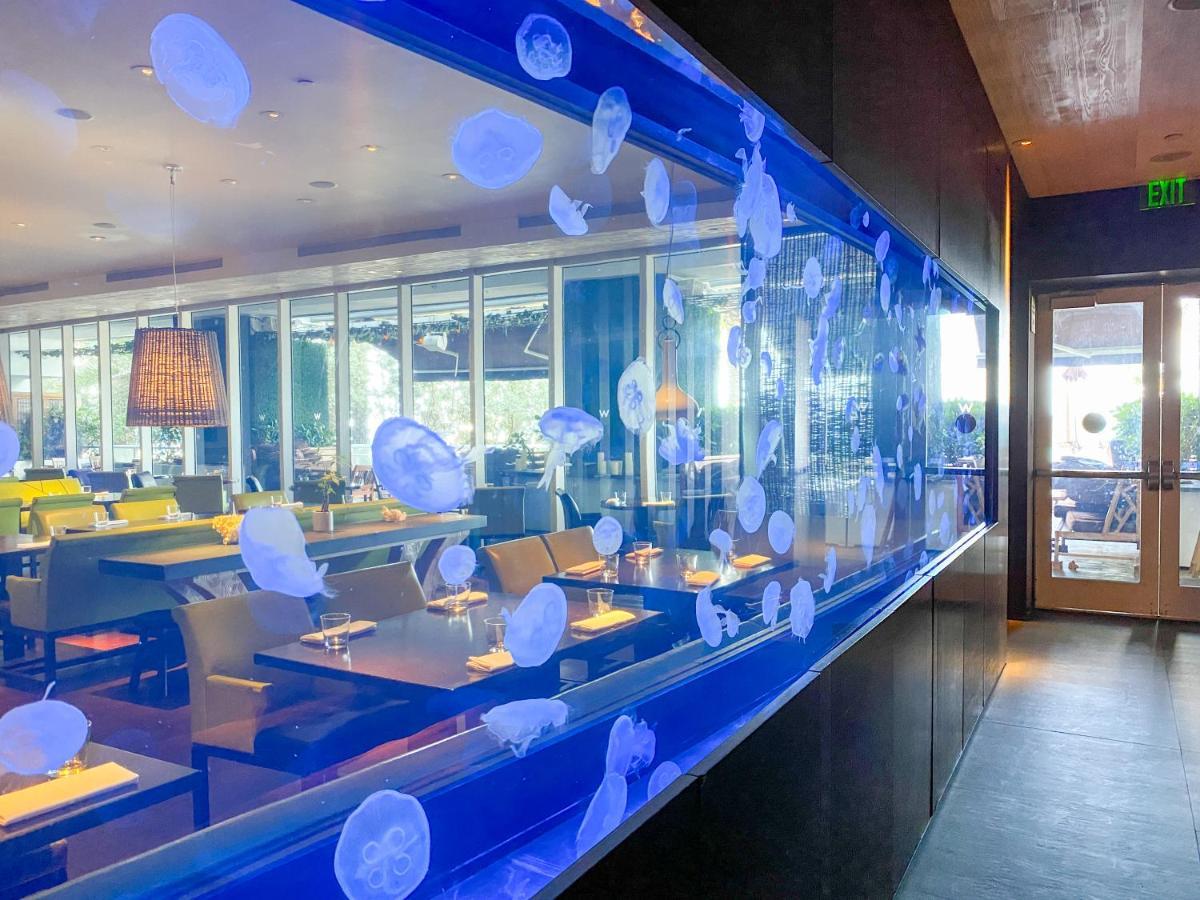 W Residences Fort Lauderdale Luxury Suites Across From Fort Lauderdale Beach Ngoại thất bức ảnh